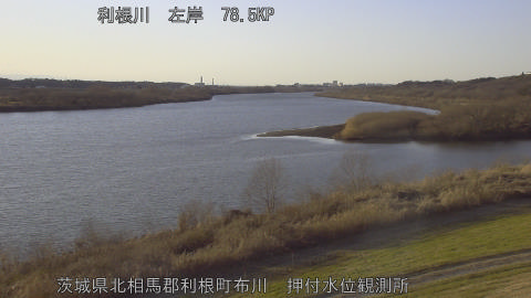 tonos2026011416_image