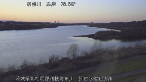 tonos2026011417_image