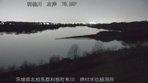 tonos2026011421_image