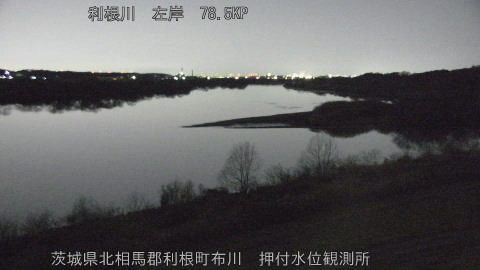 tonos2026011503_image