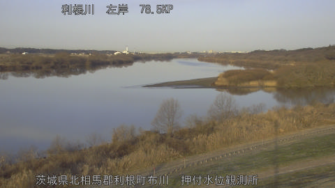 tonos2026011508_image