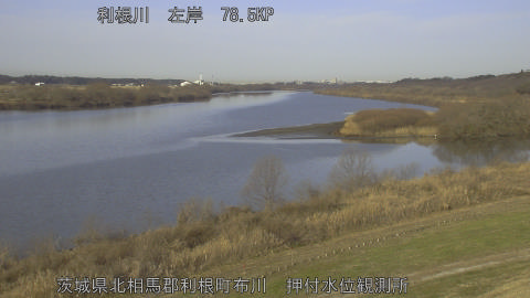 tonos2026011509_image