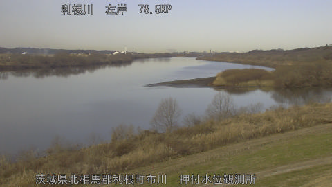 tonos2026011510_image