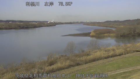 tonos2026011511_image