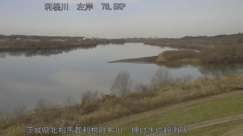 tonos2026011512_image