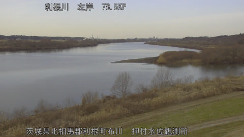 tonos2026011513_image