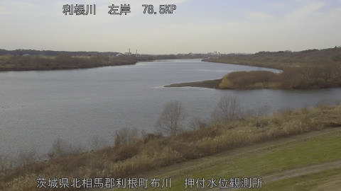 tonos2026011514_image