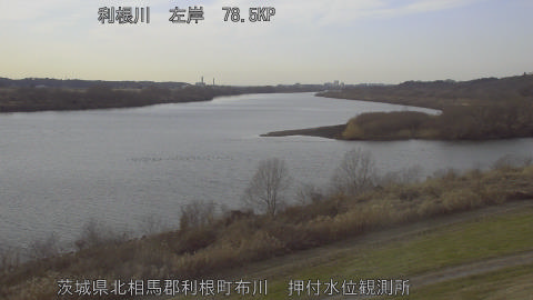 tonos2026011515_image