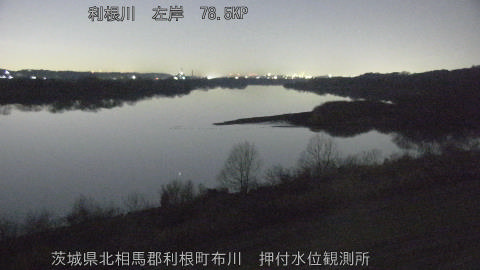 tonos2026011603_image