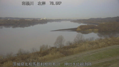 tonos2026011607_image