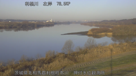 tonos2026011608_image