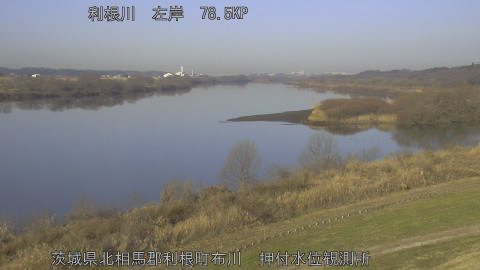 tonos2026011609_image