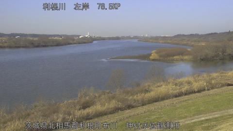 tonos2026011611_image