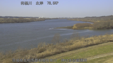 tonos2026011612_image