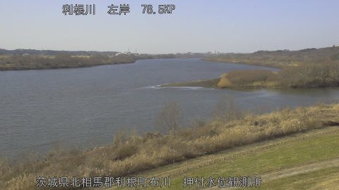 tonos2026011613_image