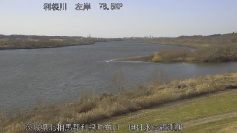 tonos2026011614_image