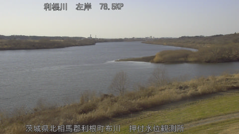 tonos2026011615_image