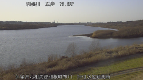 tonos2026011616_image