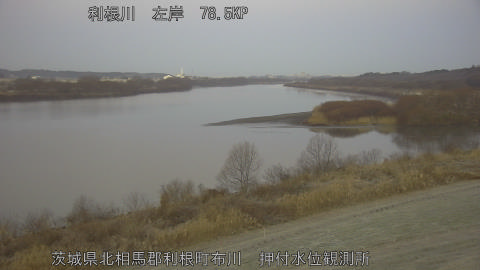 tonos2026011807_image