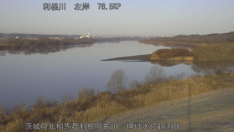 tonos2026011808_image