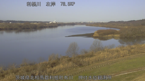 tonos2026011809_image