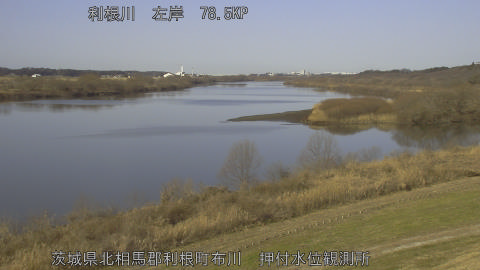 tonos2026011810_image