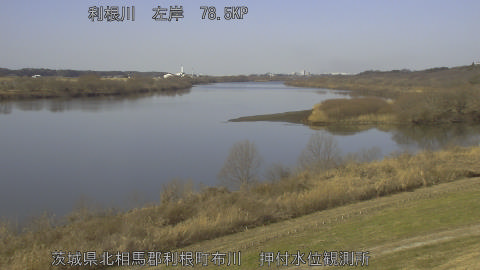 tonos2026011811_image