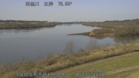 tonos2026011812_image