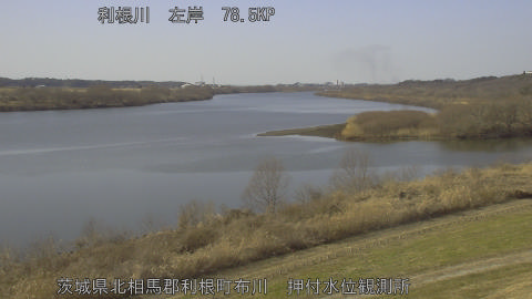 tonos2026011813_image