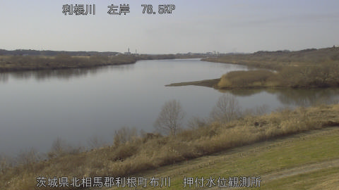 tonos2026011814_image