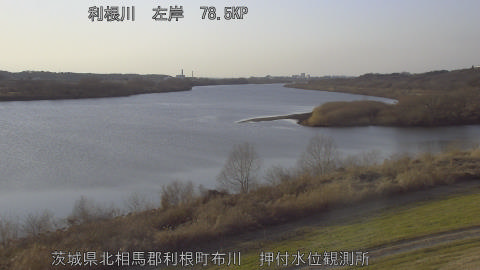 tonos2026011816_image