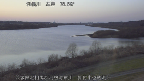 tonos2026011817_image