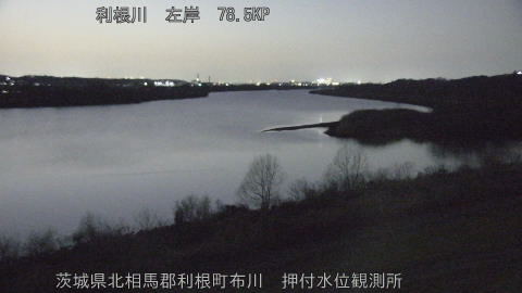 tonos2026011818_image