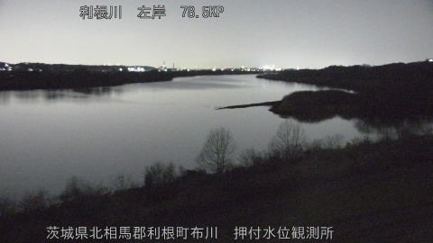 tonos2026011819_image