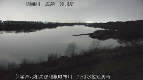 tonos2026011821_image