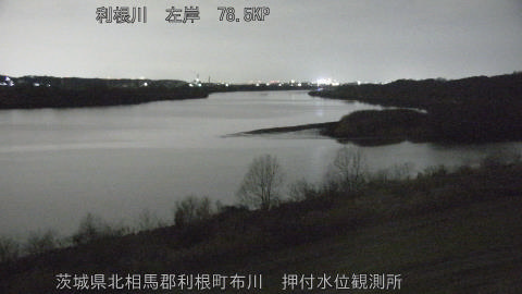 tonos2026011900_image