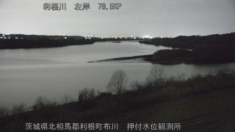 tonos2026011901_image