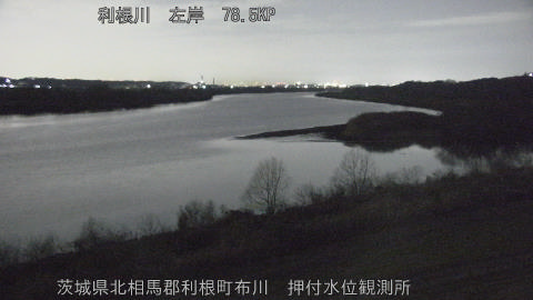 tonos2026011906_image