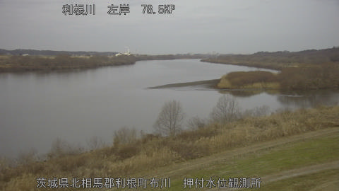 tonos2026011907_image