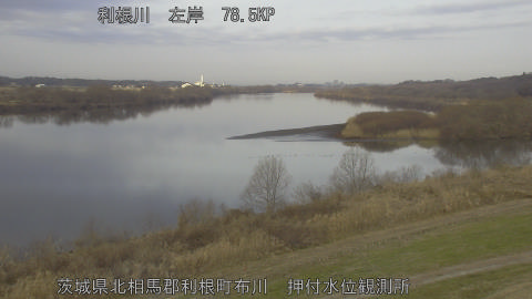 tonos2026011908_image