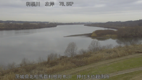 tonos2026011909_image