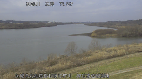 tonos2026011912_image