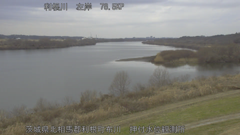 tonos2026011913_image