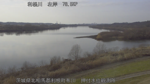 tonos2026011915_image