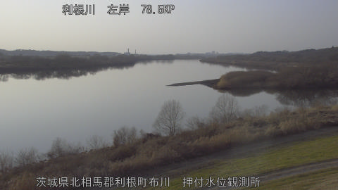 tonos2026011916_image