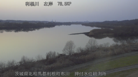 tonos2026011917_image