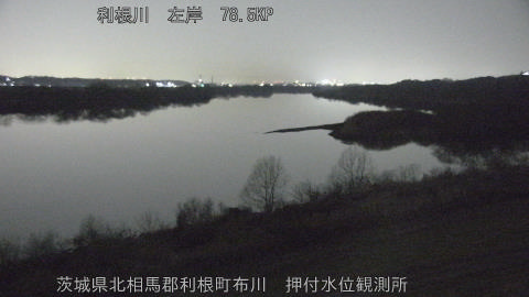 tonos2026011919_image