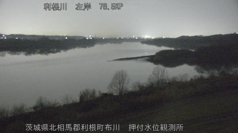 tonos2026012000_image