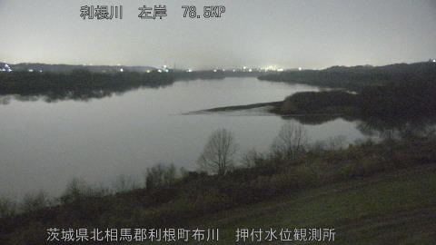 tonos2026012001_image