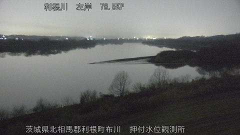 tonos2026012002_image